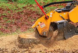 Best Firewood Processing and Delivery  in Coachella, CA